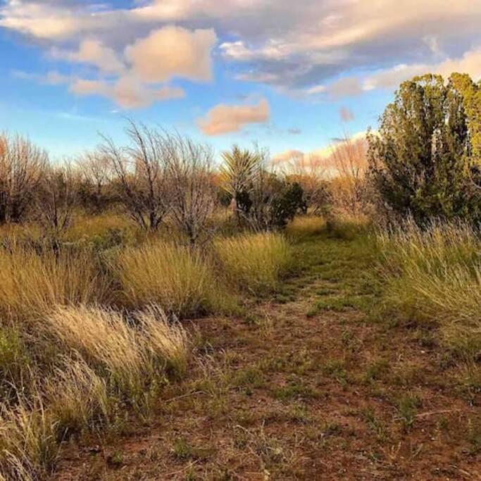 Cottonwood Creek Cabins - Alpine, Tx Esterno foto