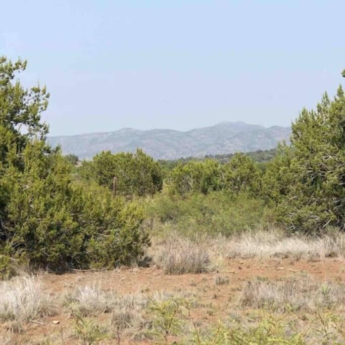 Cottonwood Creek Cabins - Alpine, Tx Esterno foto