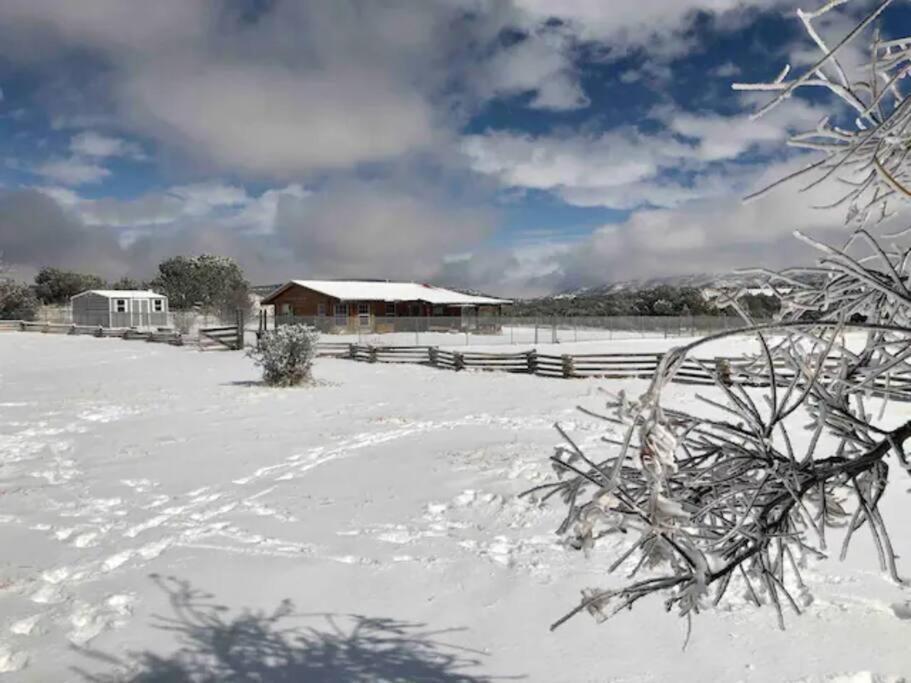 Cottonwood Creek Cabins - Alpine, Tx Esterno foto