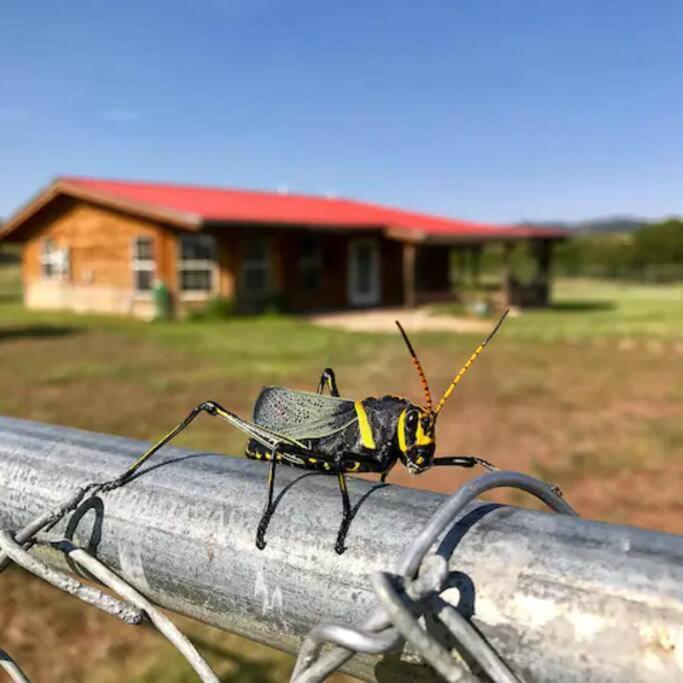 Cottonwood Creek Cabins - Alpine, Tx Esterno foto