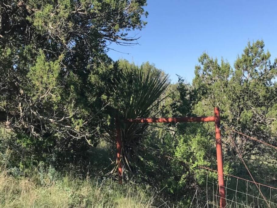 Cottonwood Creek Cabins - Alpine, Tx Esterno foto
