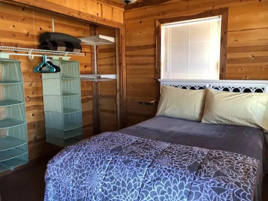 Cottonwood Creek Cabins - Alpine, Tx Esterno foto